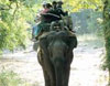 Elephant Riding at Corbett National Park
