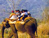 Elephant Safari at Corbett