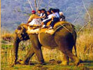 Elephant safari in Corbett