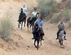 Horse Safari