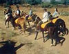 Horse Safari in Thar Desert