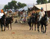 horse safari Rajasthan
