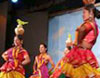 Indian Cultural Dance