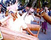 Tribal culture of Chhattisghar  