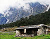 Yumthang Valley